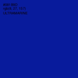 #081B9D - Ultramarine Color Image