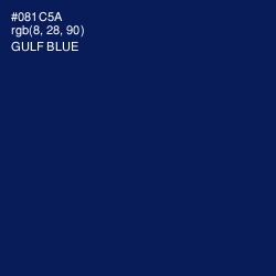 #081C5A - Gulf Blue Color Image