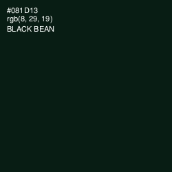 #081D13 - Black Bean Color Image