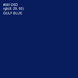 #081D5D - Gulf Blue Color Image