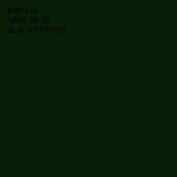 #081E06 - Black Forest Color Image