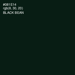 #081E14 - Black Bean Color Image