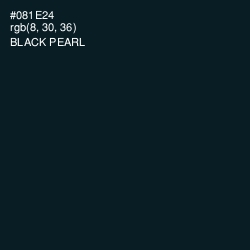 #081E24 - Black Pearl Color Image