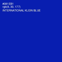 #081EB1 - International Klein Blue Color Image
