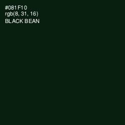 #081F10 - Black Bean Color Image