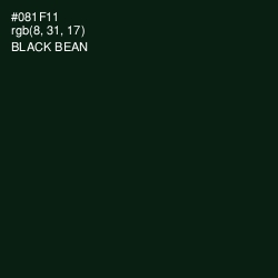 #081F11 - Black Bean Color Image