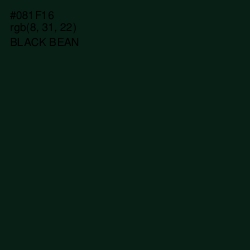 #081F16 - Black Bean Color Image