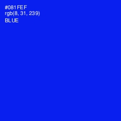 #081FEF - Blue Color Image