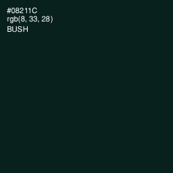 #08211C - Bush Color Image