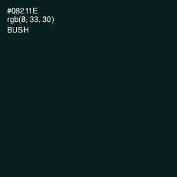 #08211E - Bush Color Image