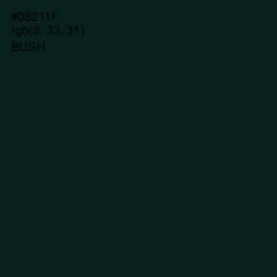 #08211F - Bush Color Image