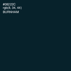 #08222C - Burnham Color Image