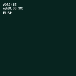 #08241E - Bush Color Image