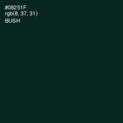 #08251F - Bush Color Image