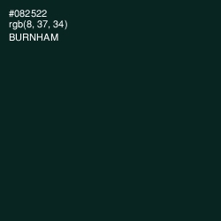 #082522 - Burnham Color Image