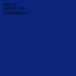 #08257B - Catalina Blue Color Image