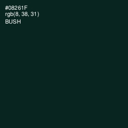 #08261F - Bush Color Image