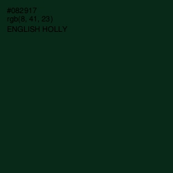 #082917 - English Holly Color Image