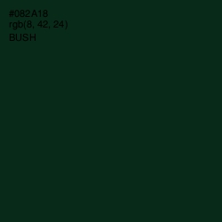 #082A18 - Bush Color Image