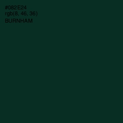 #082E24 - Burnham Color Image