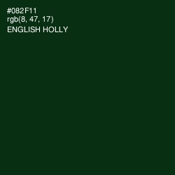 #082F11 - English Holly Color Image