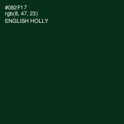 #082F17 - English Holly Color Image
