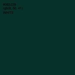 #083229 - Bottle Green Color Image