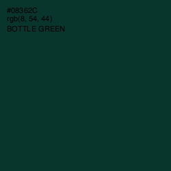 #08362C - Bottle Green Color Image