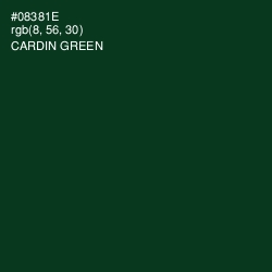 #08381E - Cardin Green Color Image
