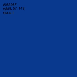 #08398F - Smalt Color Image