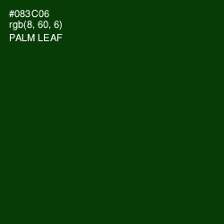 #083C06 - Palm Leaf Color Image