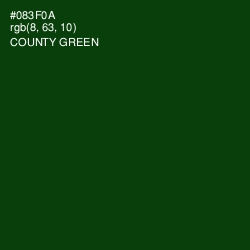 #083F0A - County Green Color Image