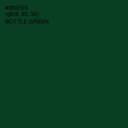 #083F23 - Bottle Green Color Image