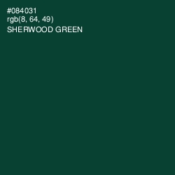 #084031 - Sherwood Green Color Image