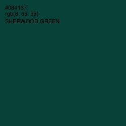 #084137 - Sherwood Green Color Image