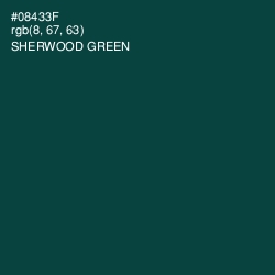 #08433F - Sherwood Green Color Image