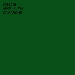 #085018 - Camarone Color Image