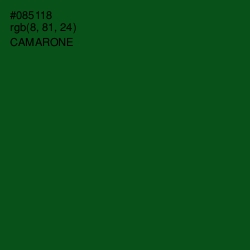 #085118 - Camarone Color Image