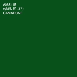 #08511B - Camarone Color Image