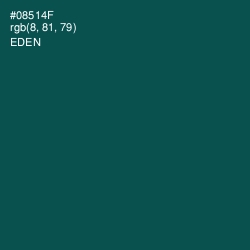 #08514F - Eden Color Image