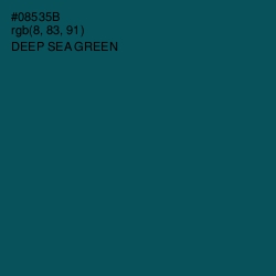 #08535B - Deep Sea Green Color Image