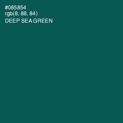 #085854 - Deep Sea Green Color Image