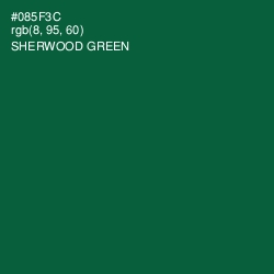 #085F3C - Sherwood Green Color Image