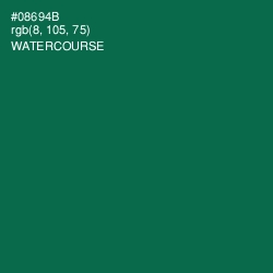 #08694B - Watercourse Color Image