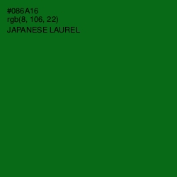 #086A16 - Japanese Laurel Color Image