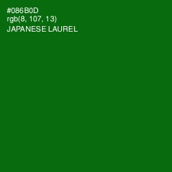 #086B0D - Japanese Laurel Color Image