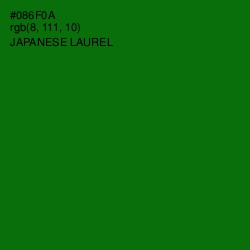 #086F0A - Japanese Laurel Color Image