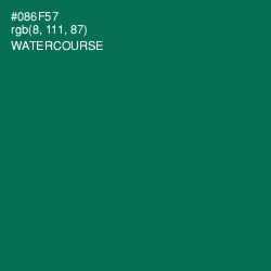 #086F57 - Watercourse Color Image
