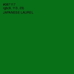 #087117 - Japanese Laurel Color Image