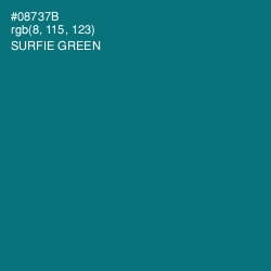 #08737B - Surfie Green Color Image